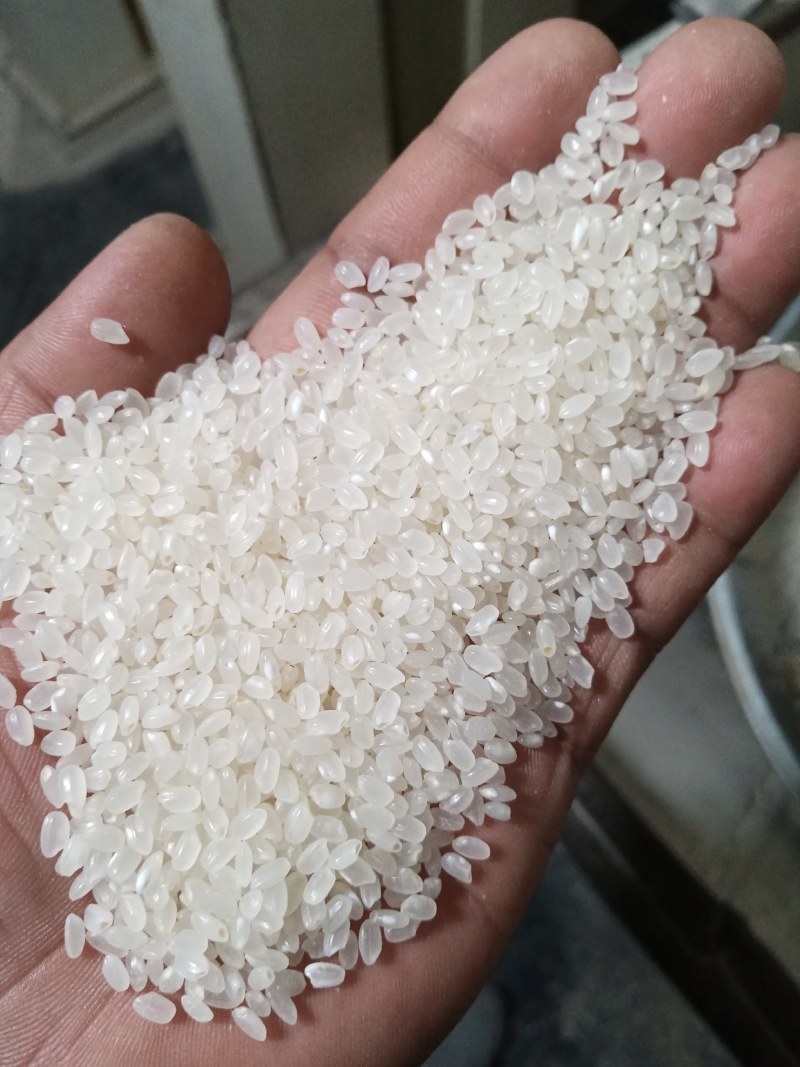 大量出售东北珍珠米价格便宜