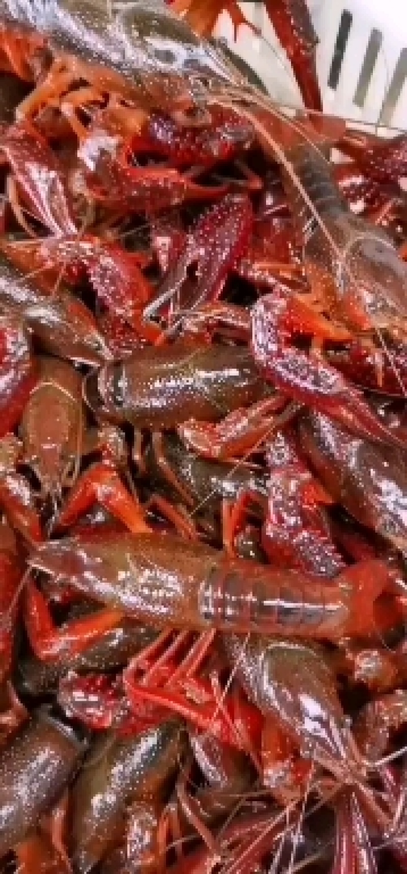 小龙虾食用6~9钱活虾小龙虾主养
