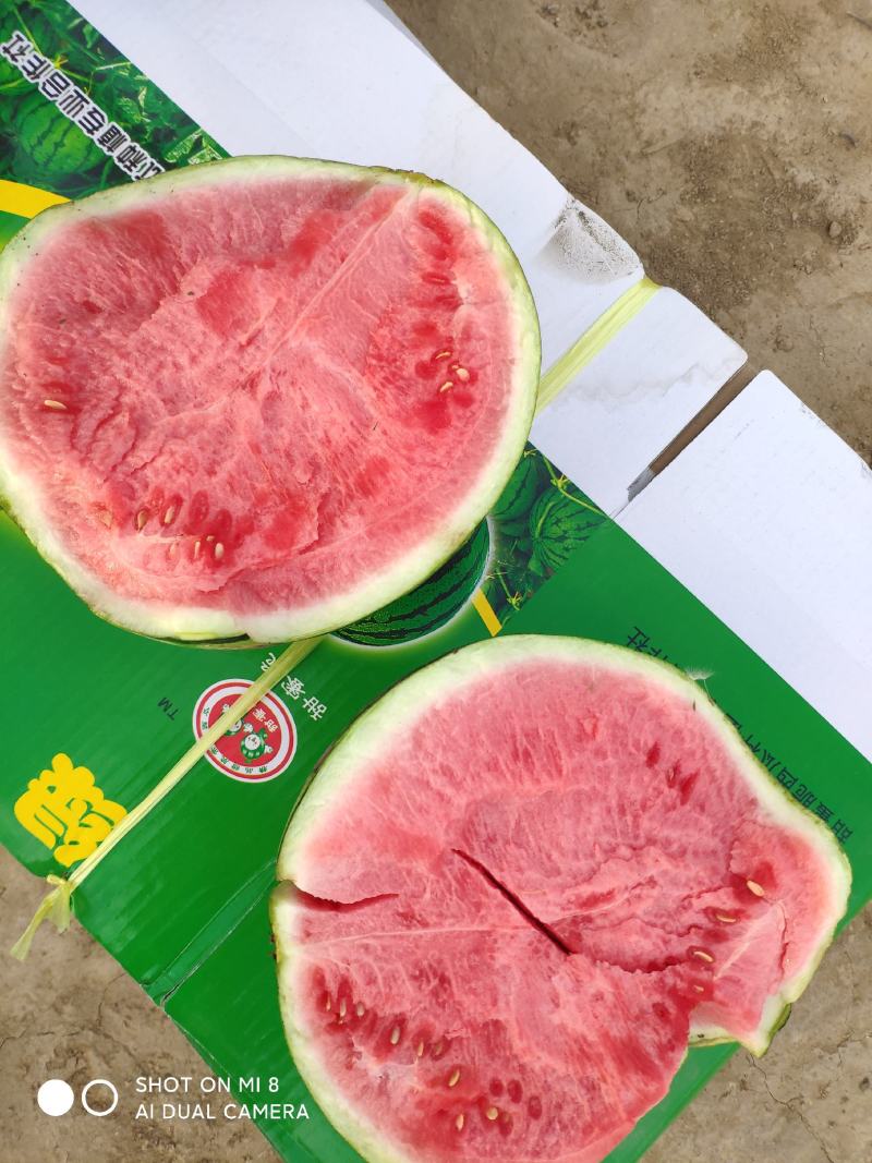 山西8424西瓜美都产地一手货源整车发货对接批发量大从优