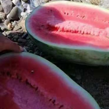 [精品中卫硒砂瓜]毛皮亮个头大原产地宁夏中卫石头瓜