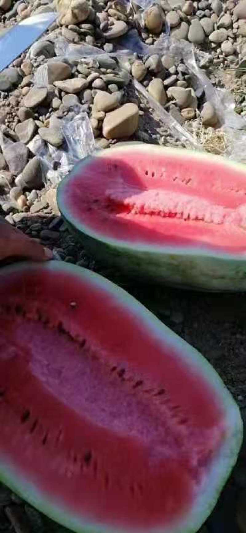 [精品中卫硒砂瓜]毛皮亮个头大原产地宁夏中卫石头瓜