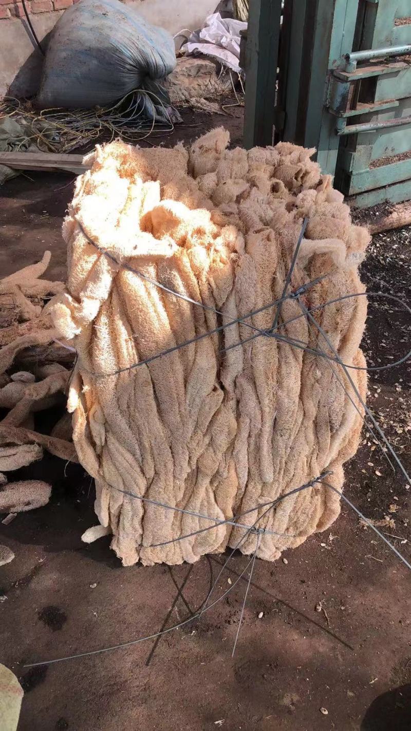 丝瓜络饮片丝瓜络无黑斑无霉的精选手挑产地直供
