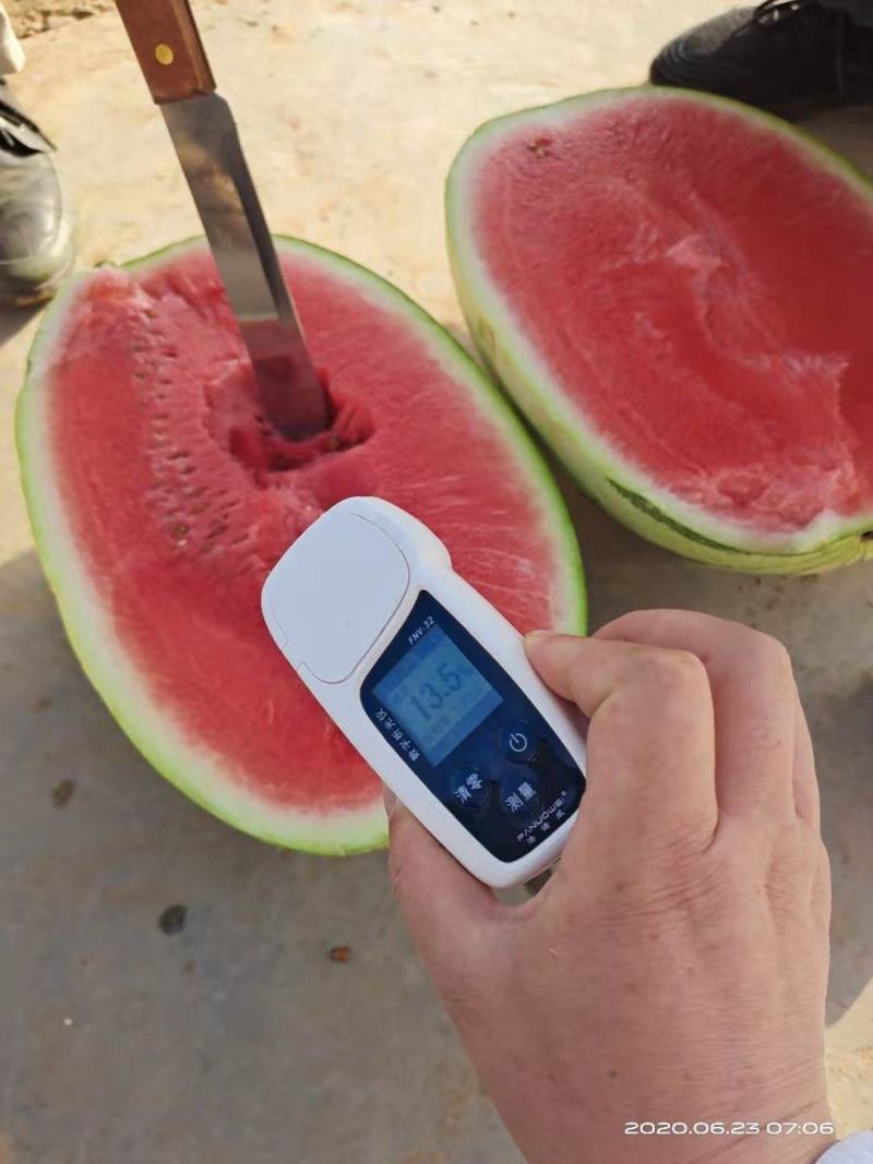 [宁夏硒砂瓜]宁夏中卫西瓜保质保量可以视频看货大量供应