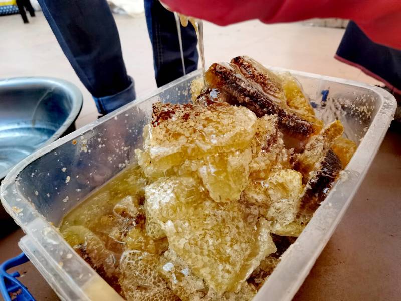黄精花粉蜂蜜、药材花粉蜜、野生蜂蜜、蜂蜜
