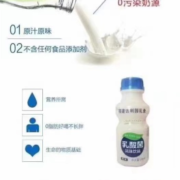 福建达利园乳业乳酸菌