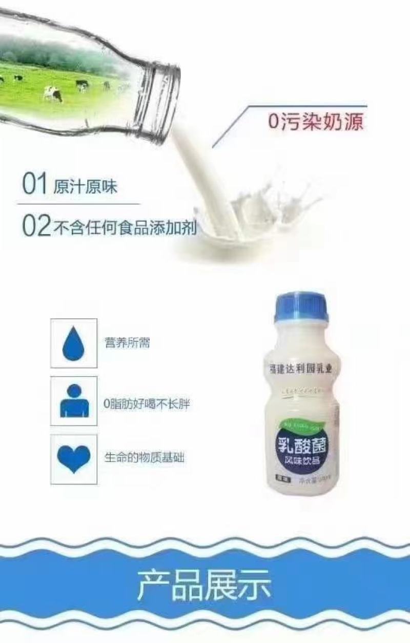 福建达利园乳业乳酸菌