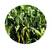 玉米苗前除草剂42%甲乙莠去津金苞米一年生杂草封闭封地