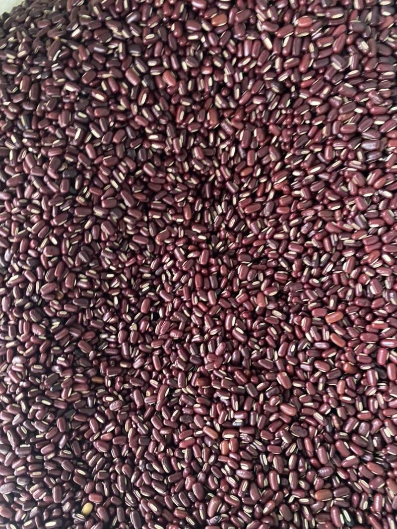 赤小豆粒粒饱满货品质量保证红豆薏米芡实