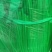 【精选】红帽蒜苔，诚信代办，冷库蒜苔视频看货
