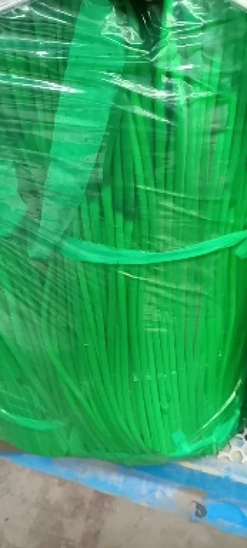【精选】红帽蒜苔，诚信代办，冷库蒜苔视频看货