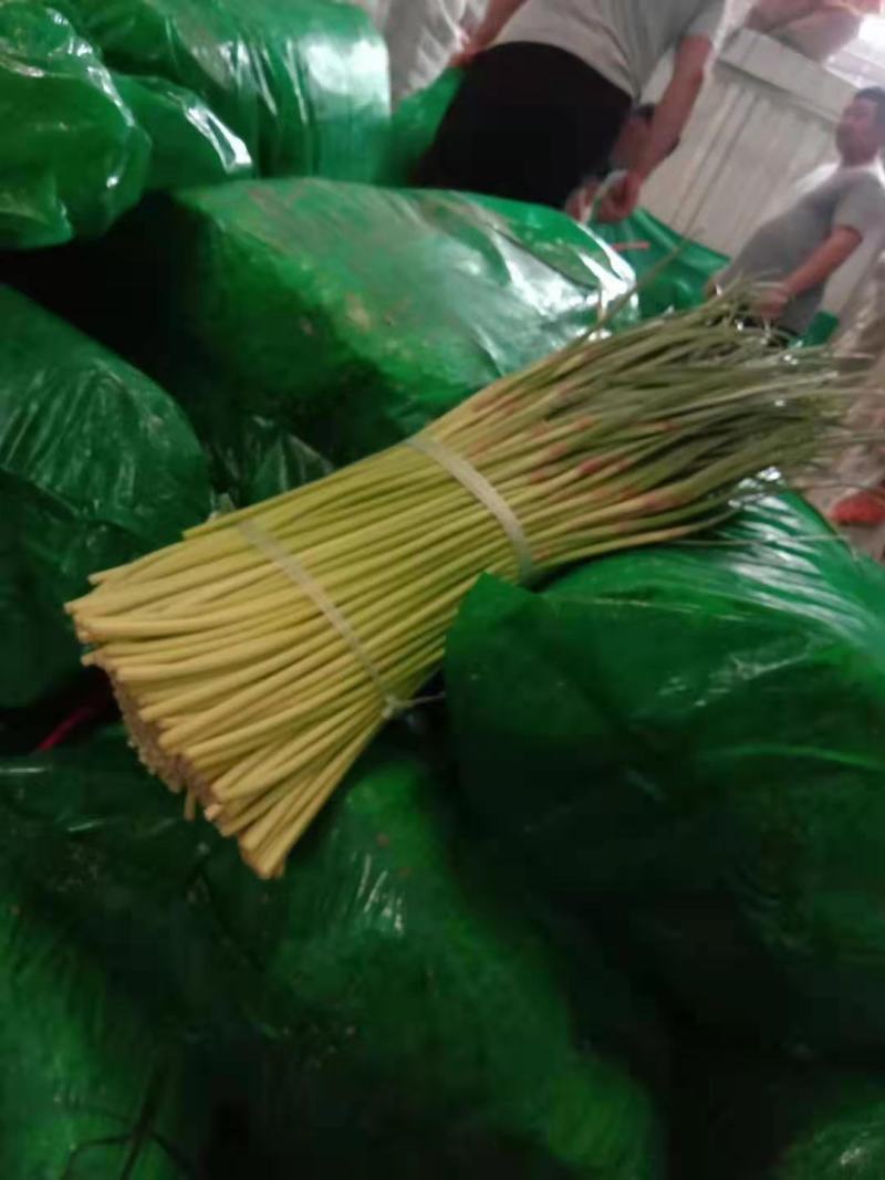 【精选】红帽蒜苔，诚信代办，冷库蒜苔视频看货