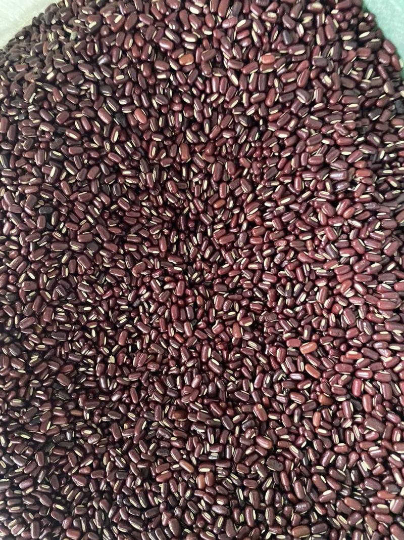 赤小豆粒粒饱满货品质量保证红豆薏米芡实