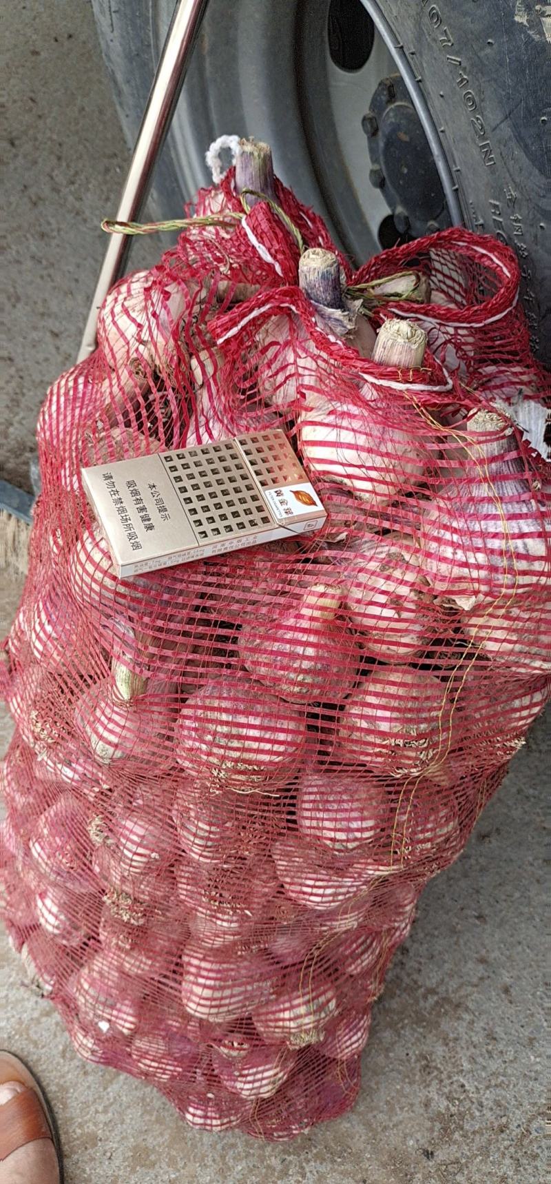 大蒜-紫皮蒜5至6以上个大型好颗粒饱满产地发货
