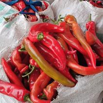 红尖椒，产地直供，质量保证，价格美丽。