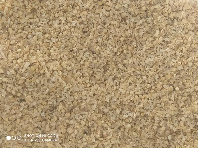 优质小米壳，适用于畜牧养殖，枕芯填充，保证质量，价格便宜