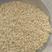 优质小米壳，适用于畜牧养殖，枕芯填充，保证质量，价格便宜
