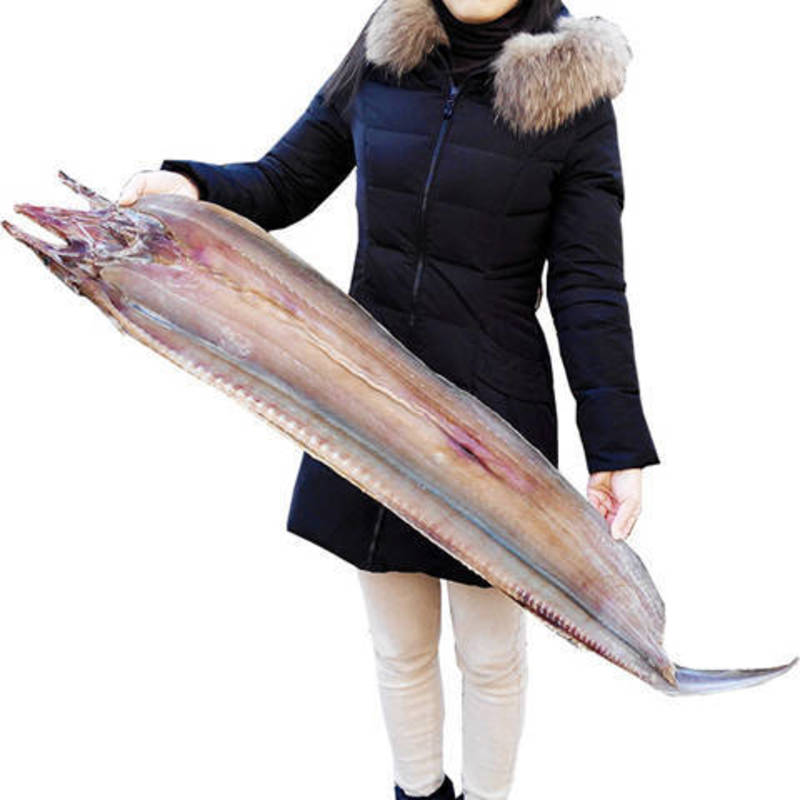 【产地】新鲜鳗鱼干5成干渔民自制咸鱼干海鳗鱼海鲜干货