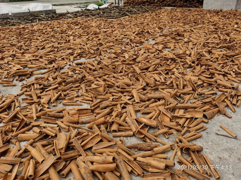 广西桂皮玉肉桂去皮烟仔桂卤肉饭500克新货