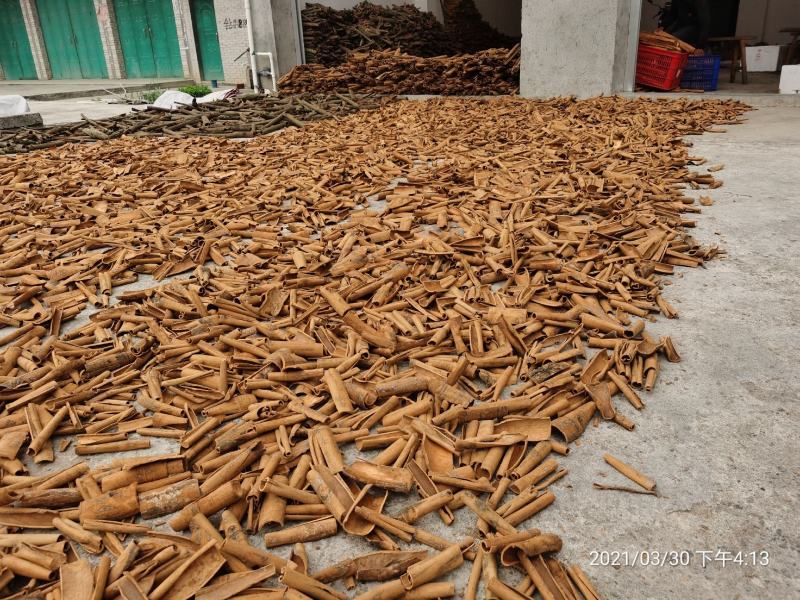 广西桂皮玉肉桂去皮烟仔桂卤肉饭500克新货