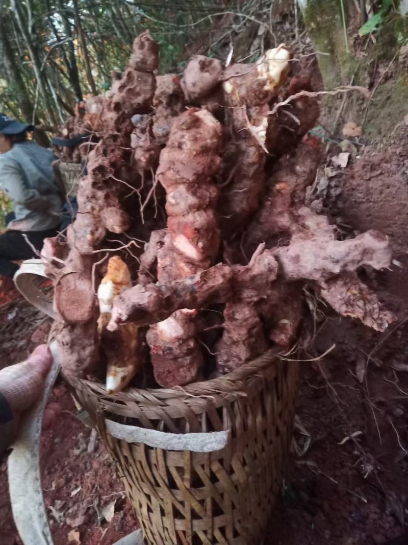 纯野生土茯苓粉手工制作纯粉一手货源10斤起包邮