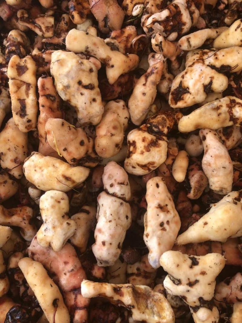 纯野生土茯苓粉手工制作纯粉一手货源10斤起包邮