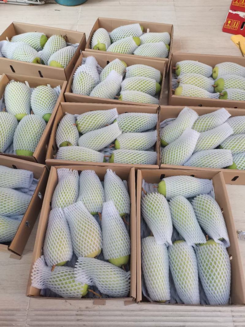 芒果精品果礼盒装