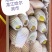 芒果精品果礼盒装