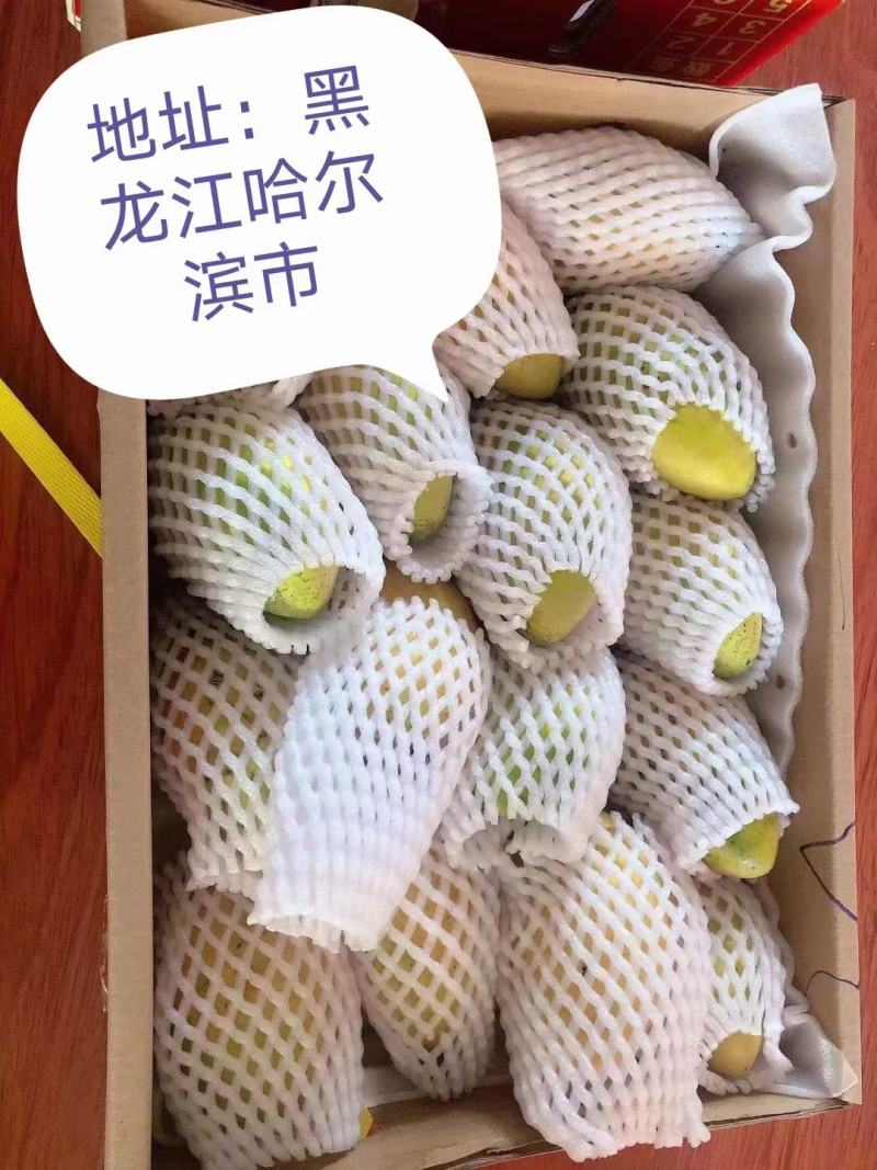 芒果精品果礼盒装