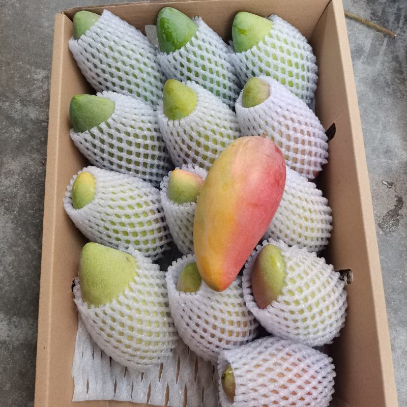 芒果精品果礼盒装