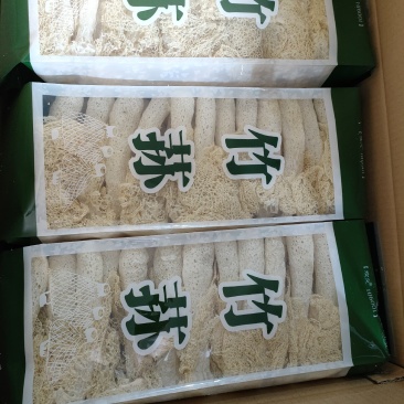 福建古田精品长裙竹荪各种规格都有，诚信经营，