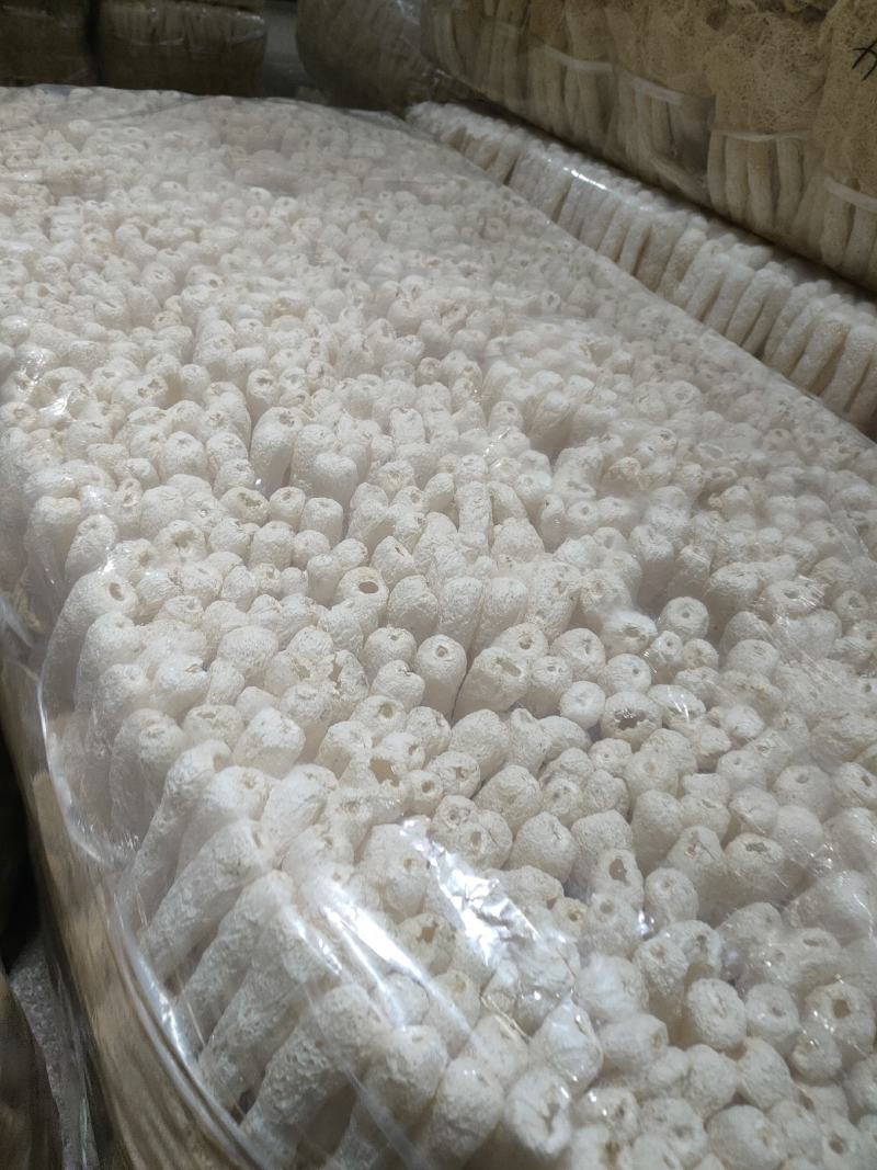 福建古田精品长裙竹荪各种规格都有，诚信经营，