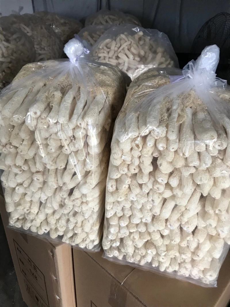 福建古田精品长裙竹荪各种规格都有，诚信经营，