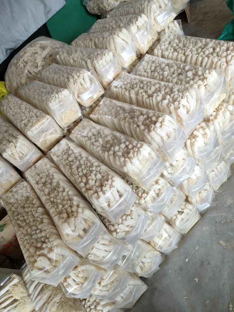 福建古田精品长裙竹荪各种规格都有，诚信经营，