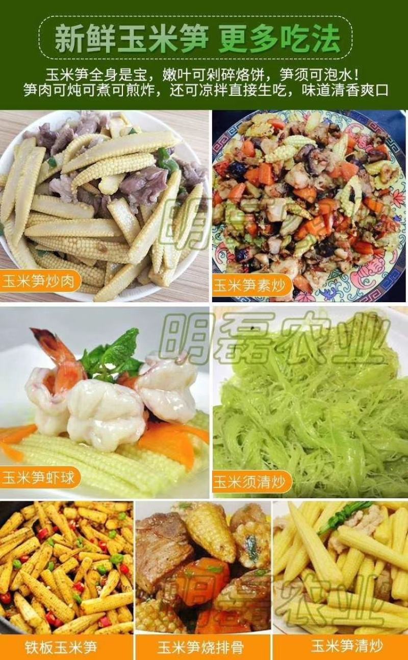 无农药现摘甜玉米笋迷你小玉米笋玉米新鲜沙拉菜蔬菜食材包邮