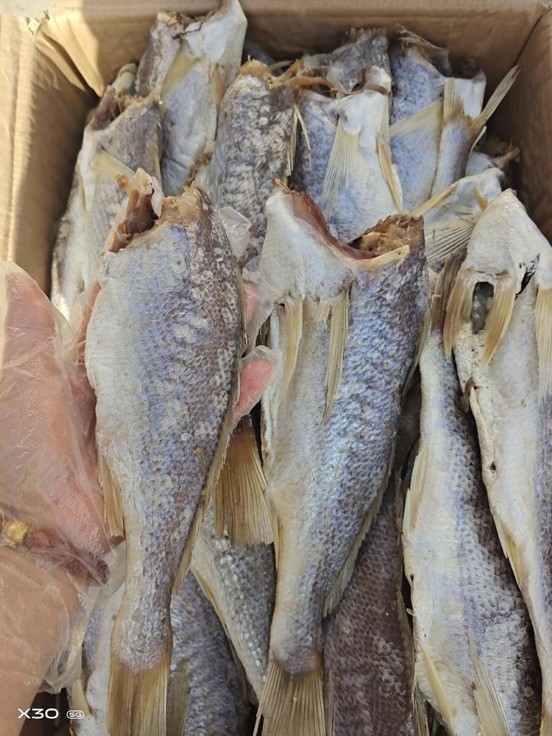 黄花鱼干腌制咸鱼大量现货供应产地直销一手货源