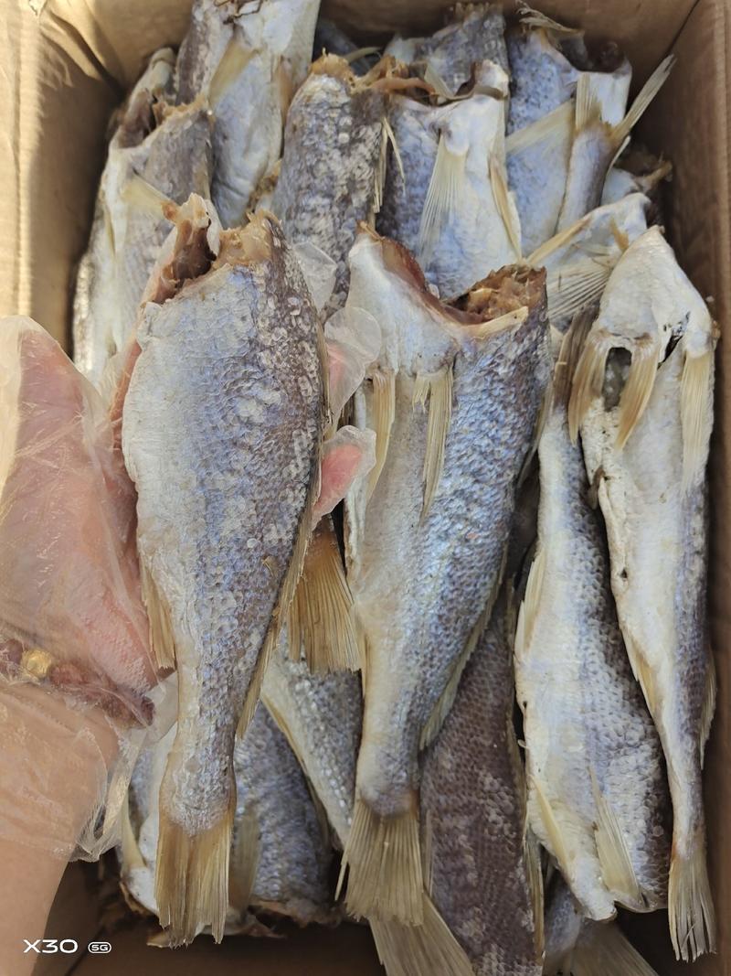 黄花鱼干腌制咸鱼大量现货供应产地直销一手货源
