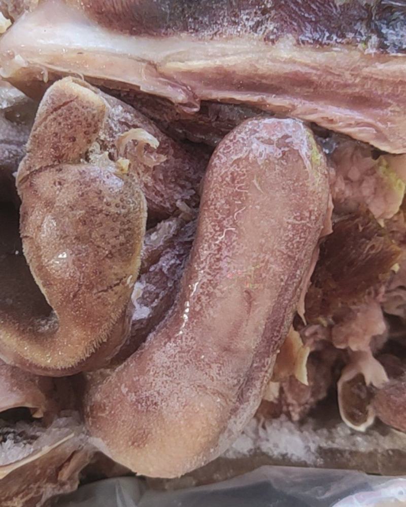 羊头肉，精修去油去骨无冰货干，出称高，去油干净货源充足，