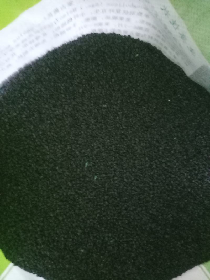 出售黄芪苗子？黄芪种子