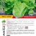 四季耐抽苔生菜/生菜种子/叶菜种子/蔬菜种子/绵蔬