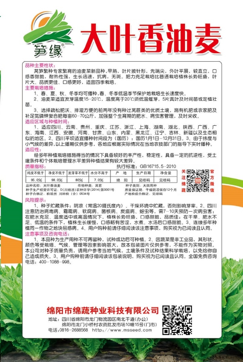 大叶香油麦/油麦菜种子/蔬菜种子/绵蔬种业