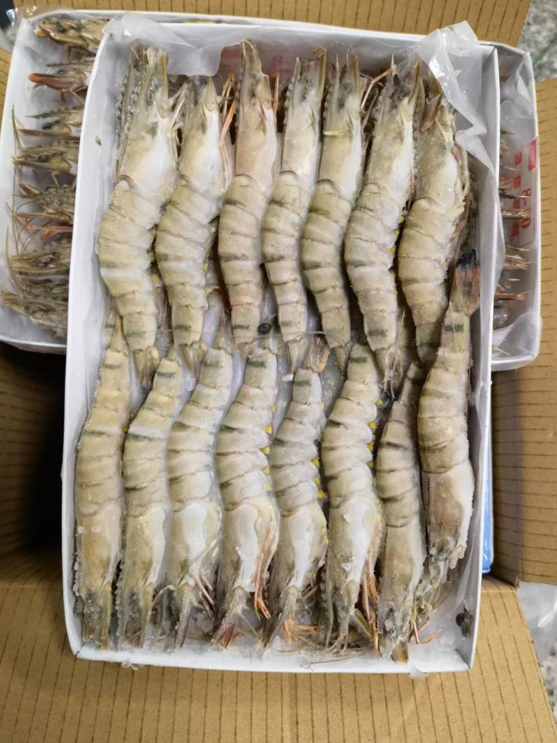 黑虎虾，桂虾，鬼虾