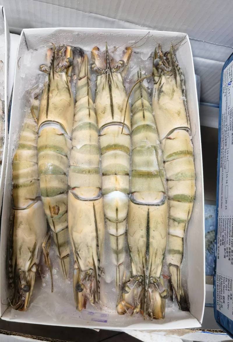 黑虎虾，桂虾，鬼虾