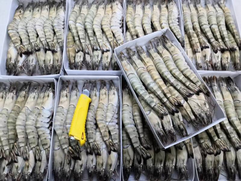黑虎虾，桂虾，鬼虾