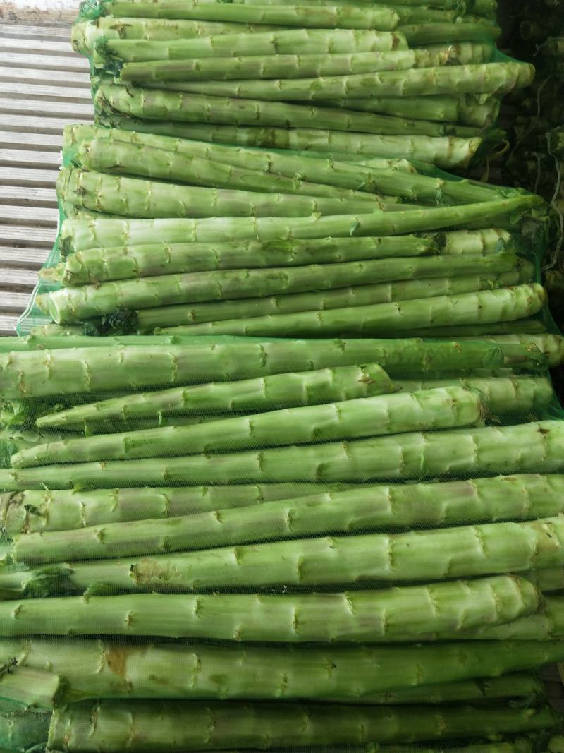 ✨精品✨三青莴苣杆子无空心好货价优欢迎采购