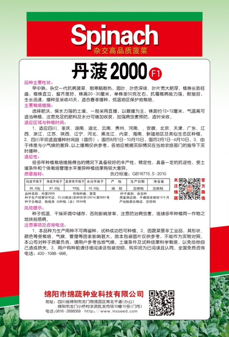 丹菠2000/菠菜种子/蔬菜种子/叶菜种子/绵蔬种业