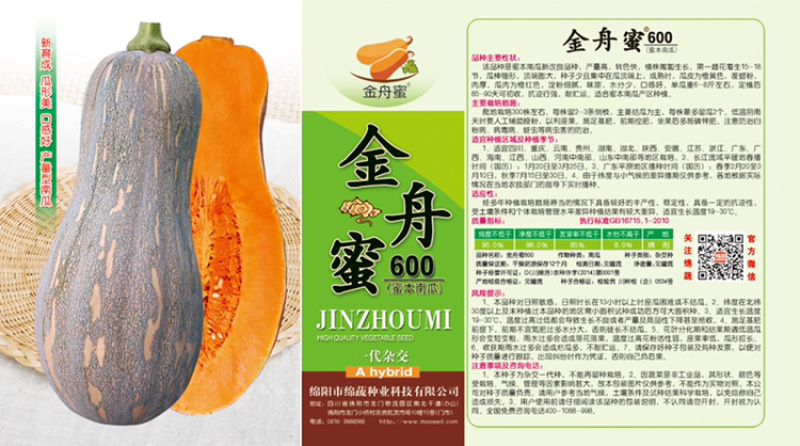 金舟蜜600/南瓜种子/蜜本南瓜种子/蔬菜种子/绵蔬