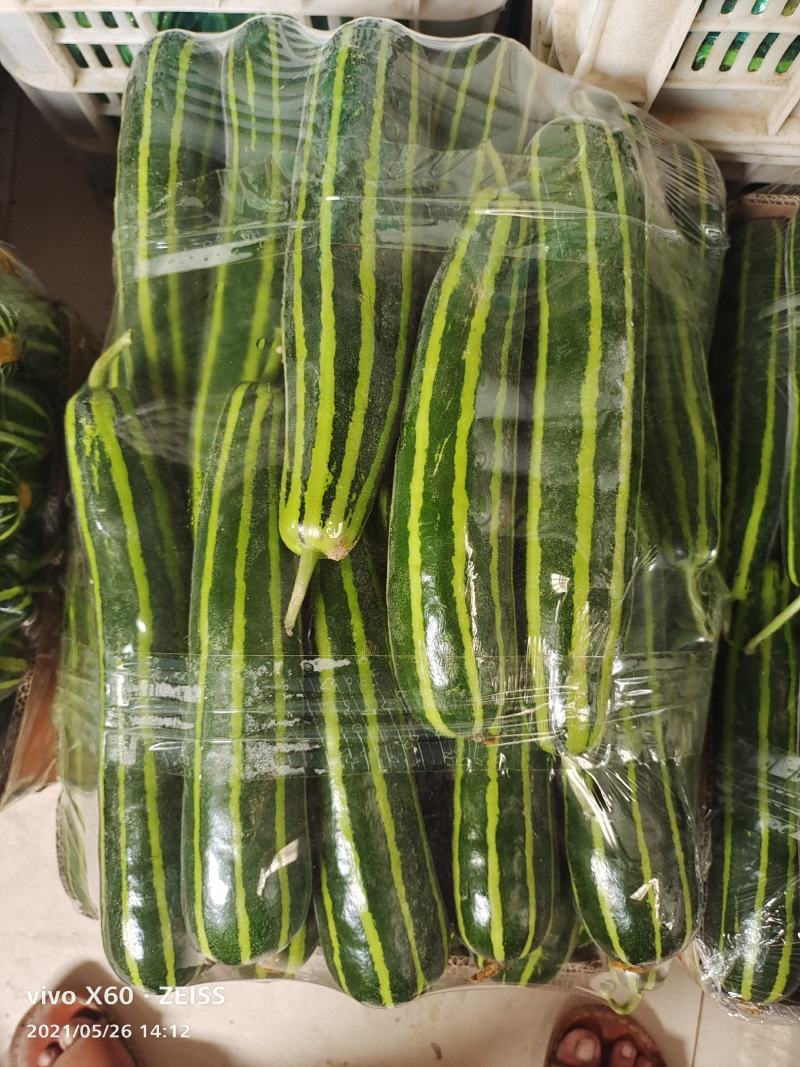 莒南捎瓜上市了啊0.5斤一下