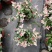 四川成都花叶络石基地直销