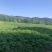 出租土地