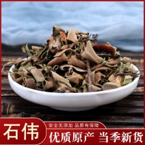 石韦正品小叶石韦含量高无添加干净无杂